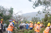 Power poles, trees collapse due rain and winds